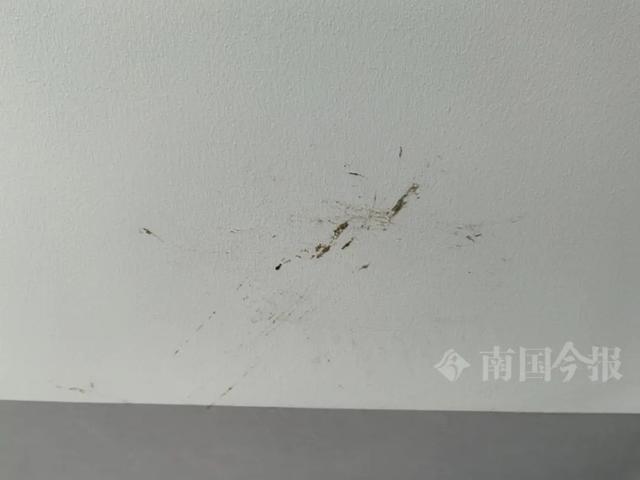 崩溃：全屋都是无法接受婚房被粪水浸泡！业主(图3)