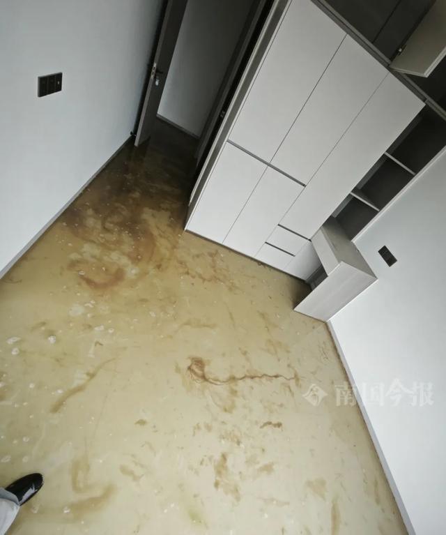 崩溃：全屋都是无法接受婚房被粪水浸泡！业主(图4)