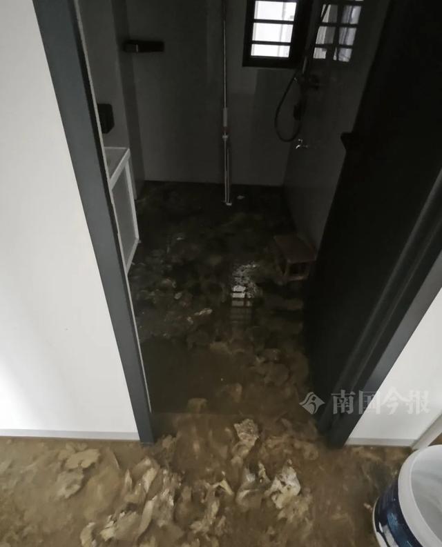 崩溃：全屋都是无法接受婚房被粪水浸泡！业主(图8)