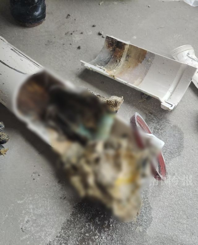 崩溃：全屋都是无法接受婚房被粪水浸泡！业主(图7)
