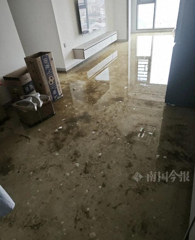 崩溃：全屋都是无法接受婚房被粪水浸泡！业主(图10)