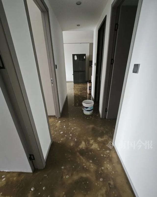 崩溃：全屋都是无法接受婚房被粪水浸泡！业主(图9)